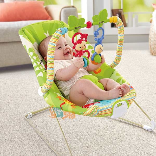 Fancy Baby Bouncer