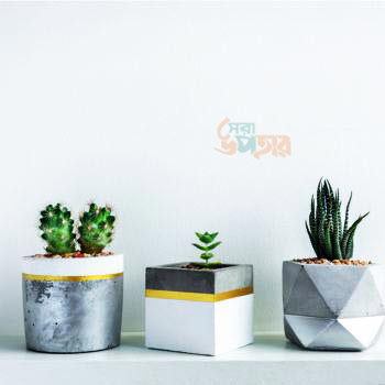 Multi Shape Concrete Plants Pot