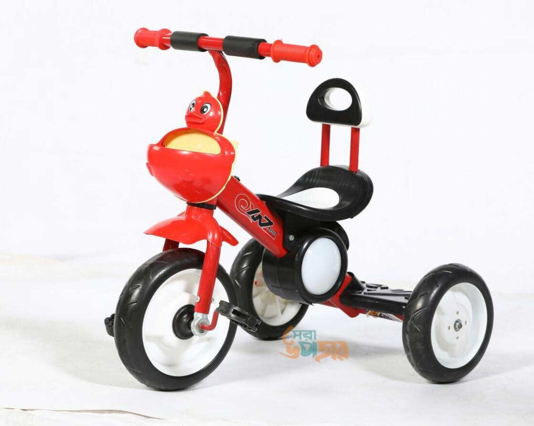 Rickshaw for Baby